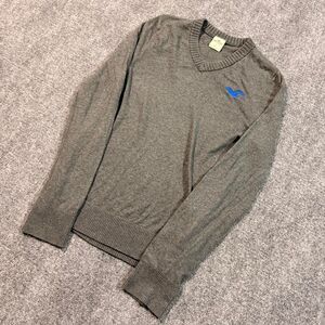 Vintage Y2K Hollister Lightweight V-neck Sweater